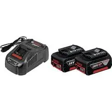 Set 2x GBA 18V-5Ah + GAL 1880