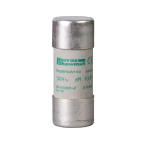 Fishek siguresë 22×58 63A aM – Schneider SHDF2FA63
